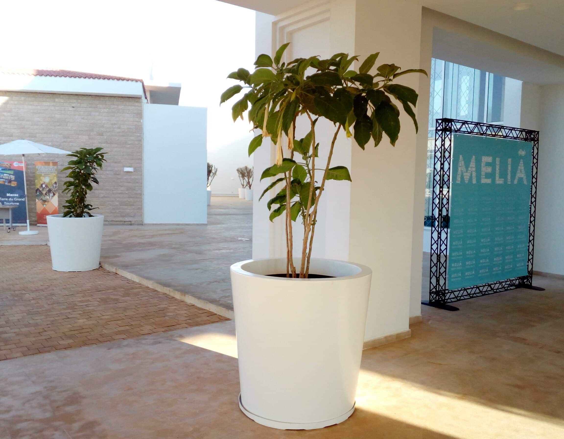 Hotel Mélia, Pot d’extérieur sur mesure aménagement hotel