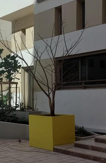 Jardinière cube