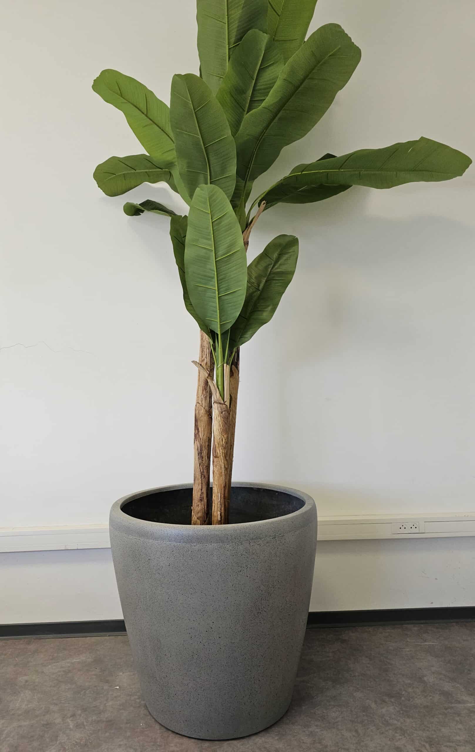 pots coniques plantes
